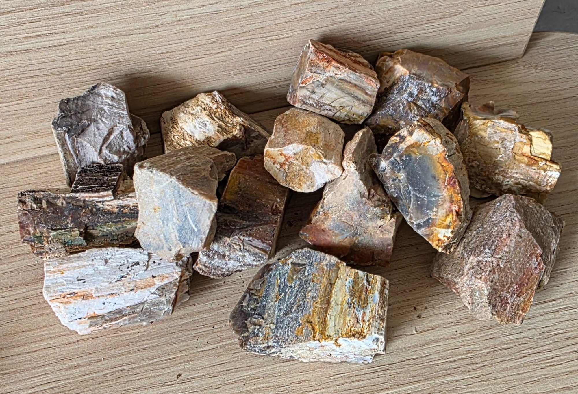 Versteend hout ruw